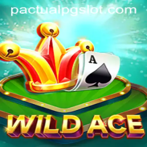 Discover the Thrilling Universe of WildAce: A New Era in Gaming